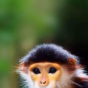 Meet your Posher, Mauricio